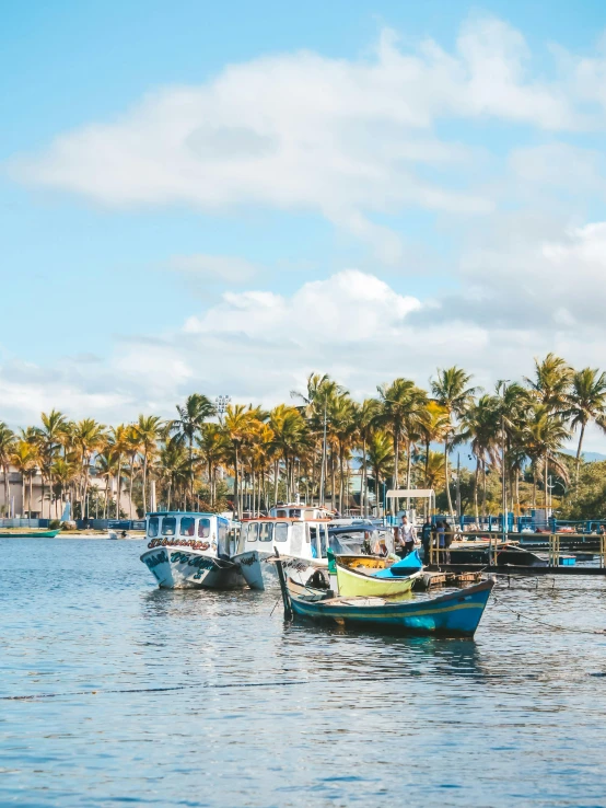 a group of boats in the water next to some trees