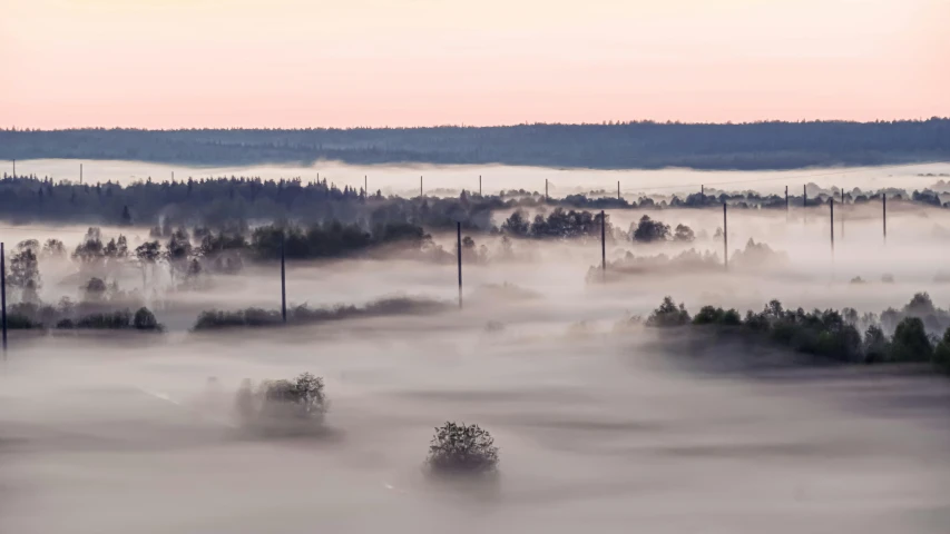 aerial view of forest in fog at sunrise