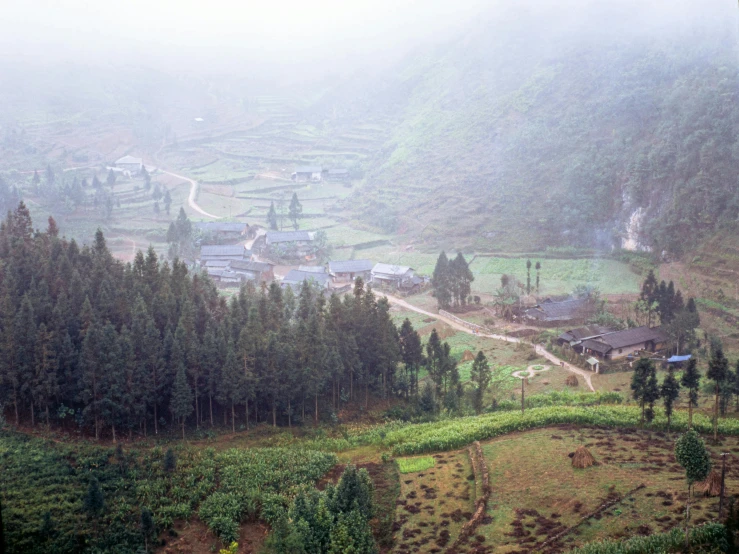 foggy landscape with houses and small forest