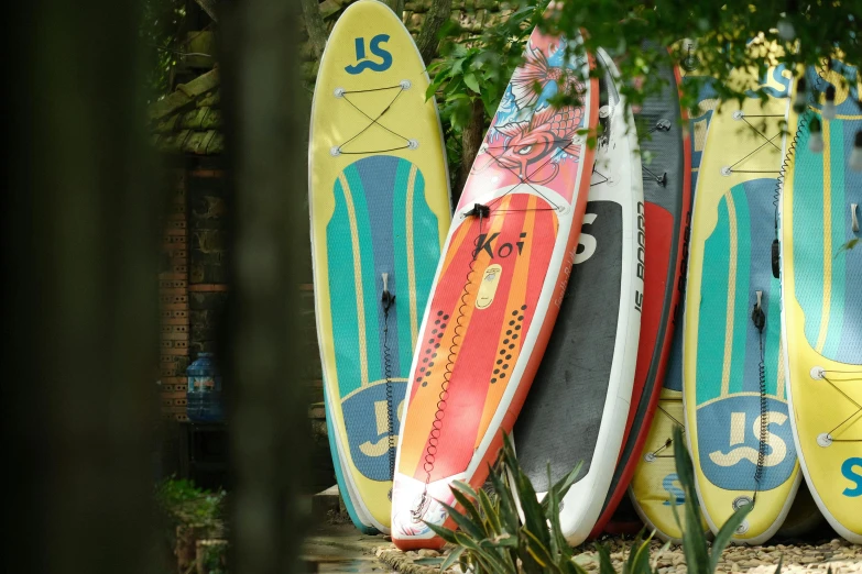 the five surfboards are lined up in a row