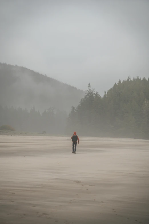 two people walk across a sandy beach towards the fog