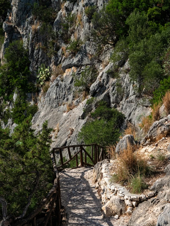 there is a wooden bridge going up a mountain