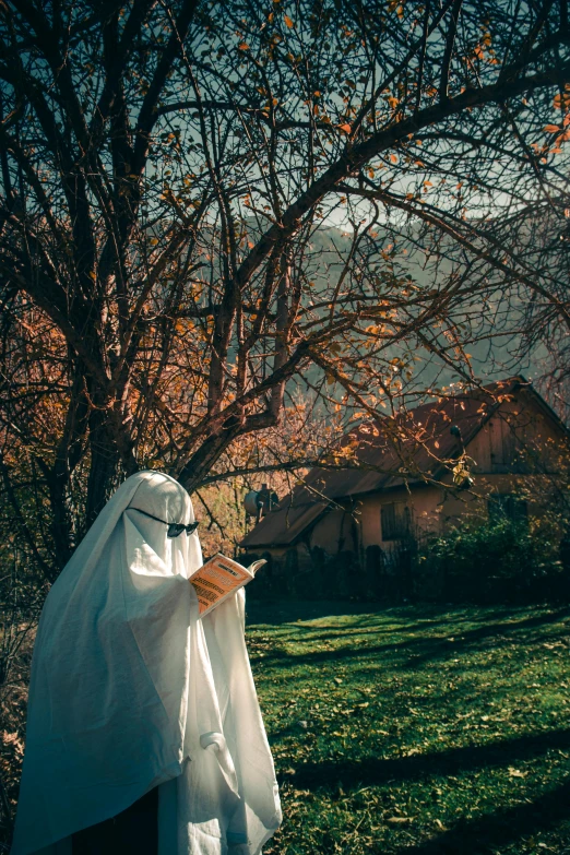 a halloween ghost is in the middle of a grassy yard