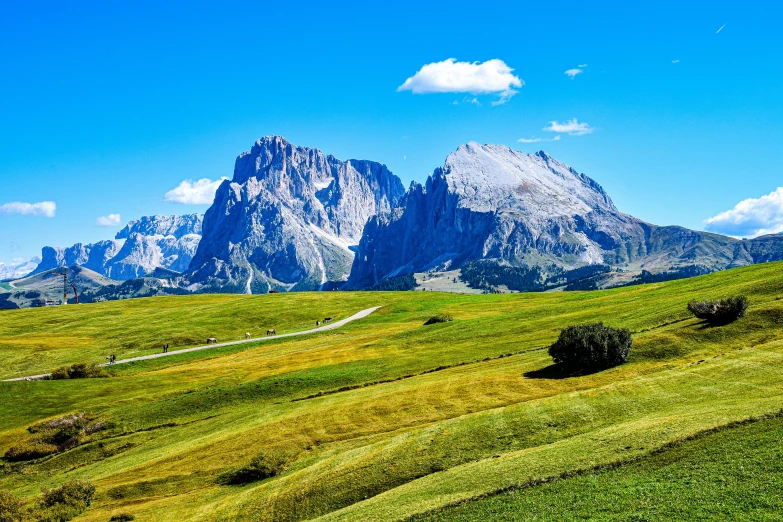 a valley with grass in the foreground, mountain range in the background