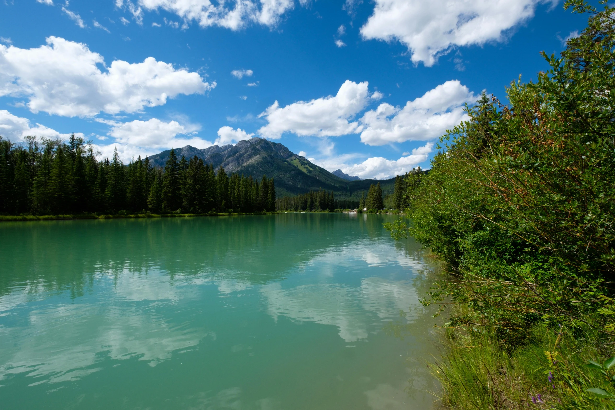 the green water is still clear under the blue sky