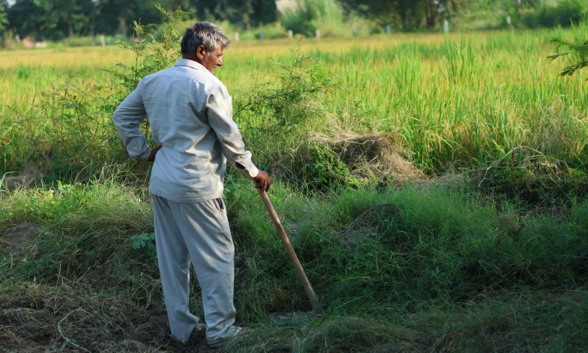 a man in a suit standing next to a field