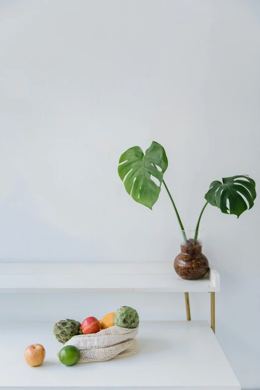 a potted plant is next to a bowl of fruit