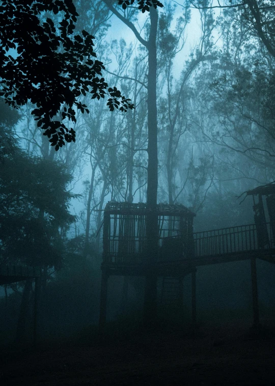 a foggy scene in the woods with a wooden structure