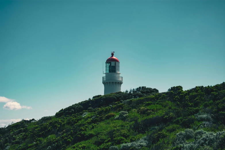 a lighthouse on top of a hillside with trees