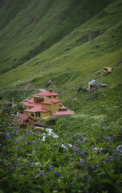 a house in the middle of a lush green field