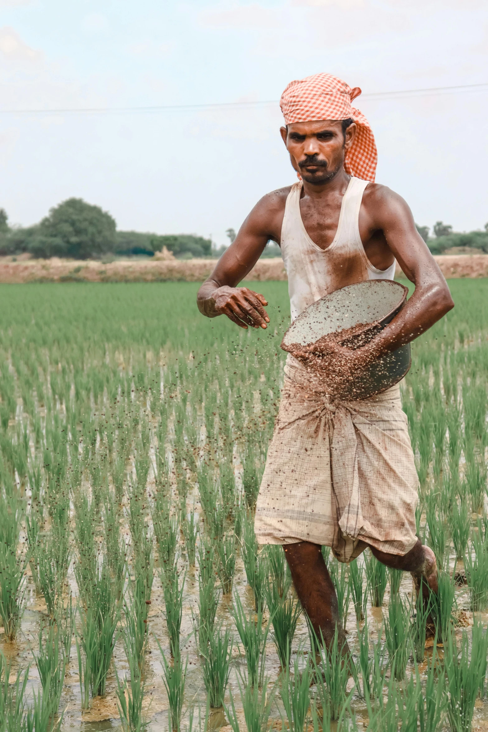 a man wearing a turban standing in a field of wheat