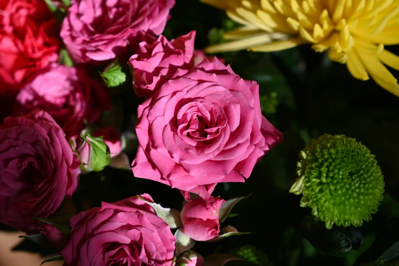 the flowers are in bloom on this black background