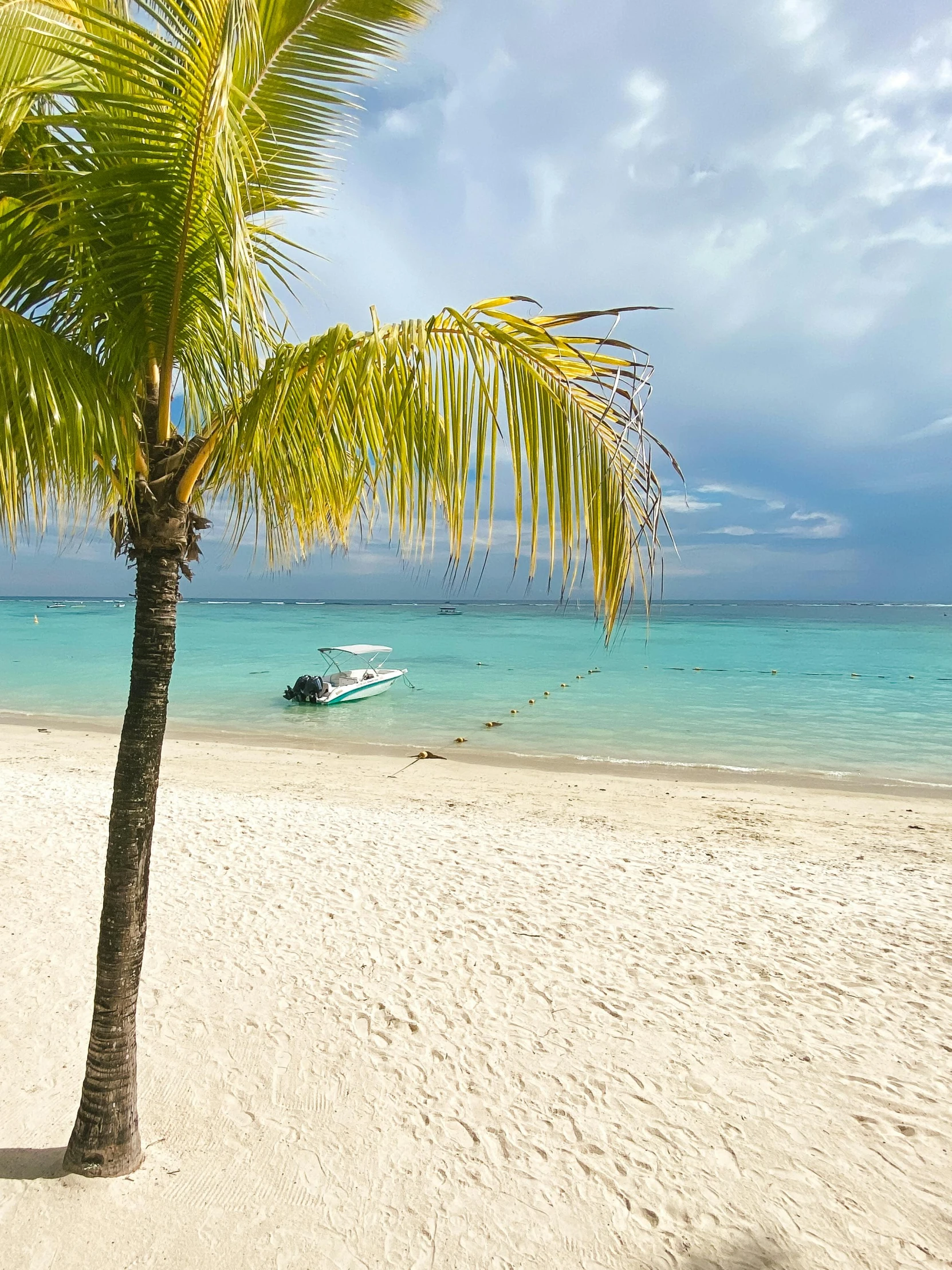 a boat is in the distance as it sits next to a palm tree