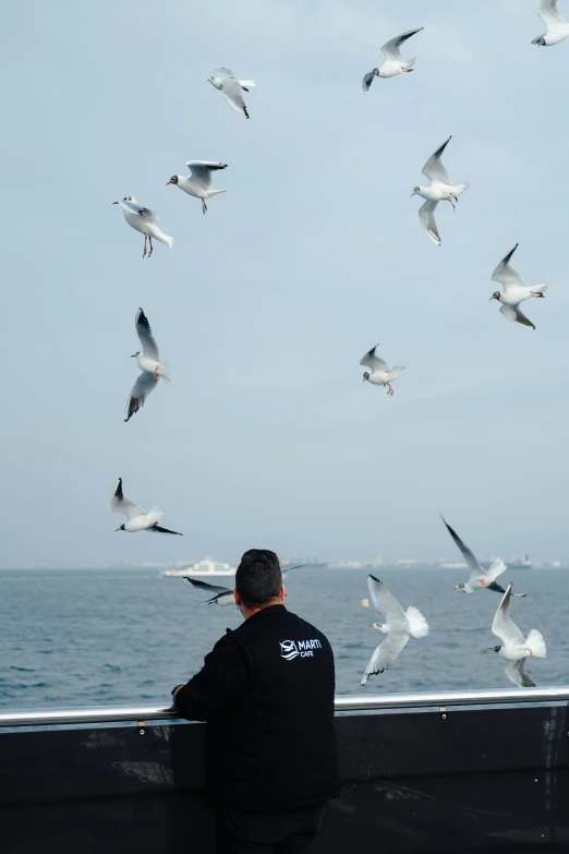 a man watching the seagulls fly above a body of water