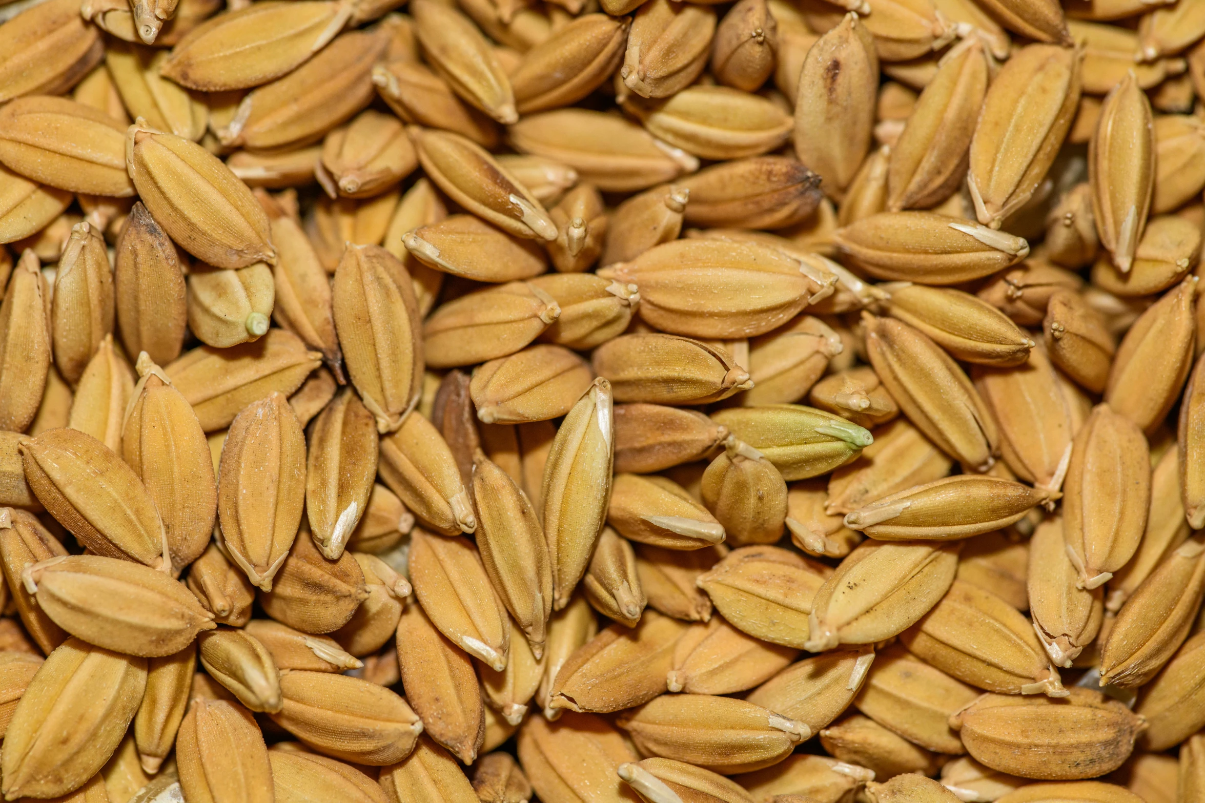 an arrangement of brown nuts laying on top of each other