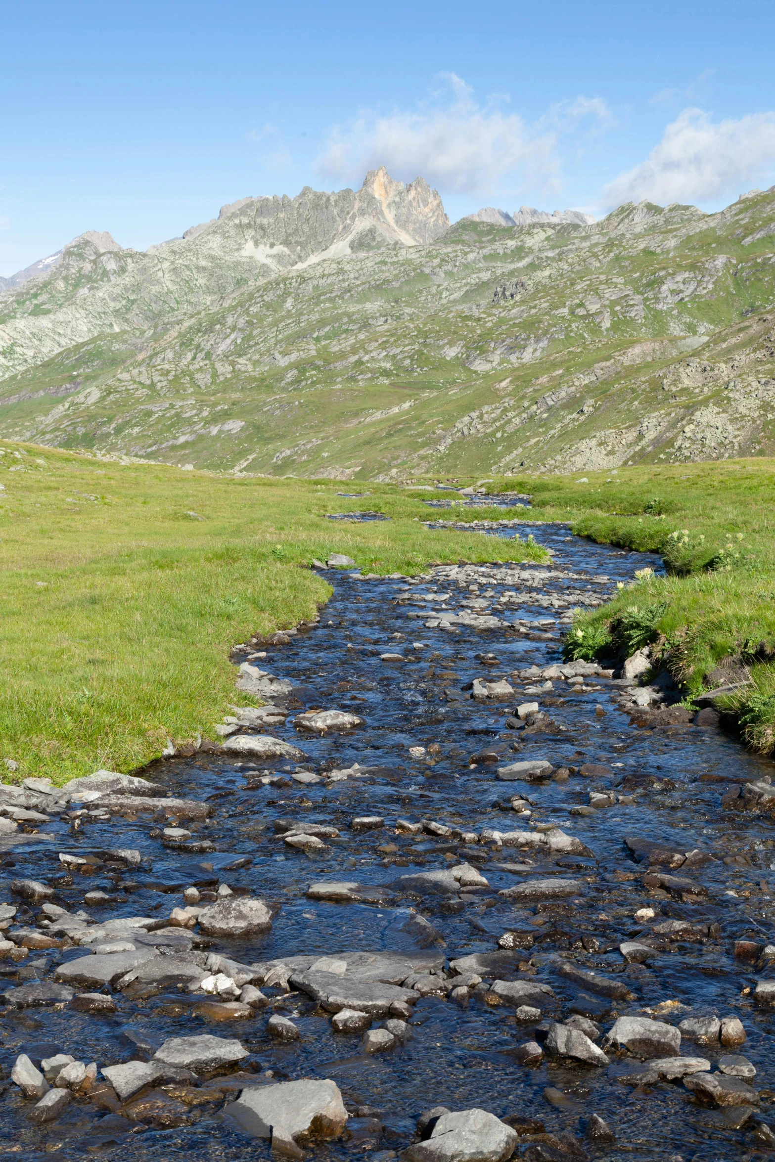 a stream flowing between green grass and hills