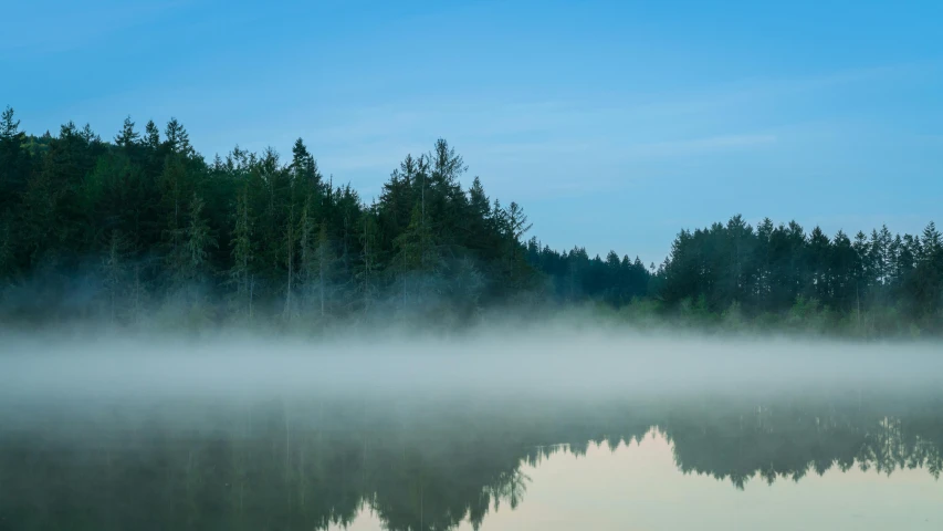 the fog covers trees along a river in the morning