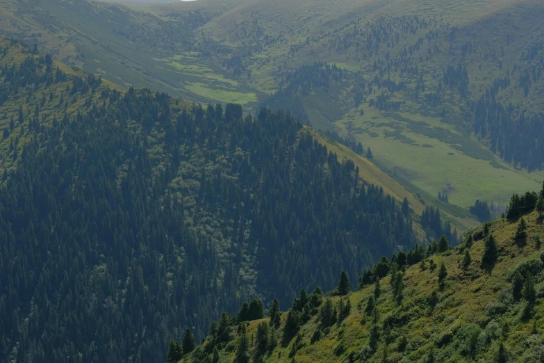 the mountain is lush with green trees