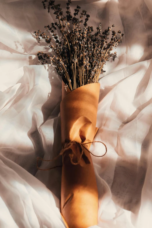 a plant wrapped in a sheet with a tie