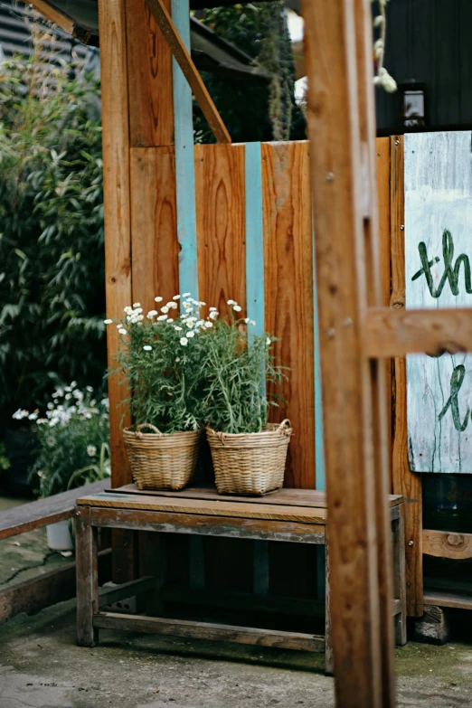 three pots with flowers in them are shown on a bench