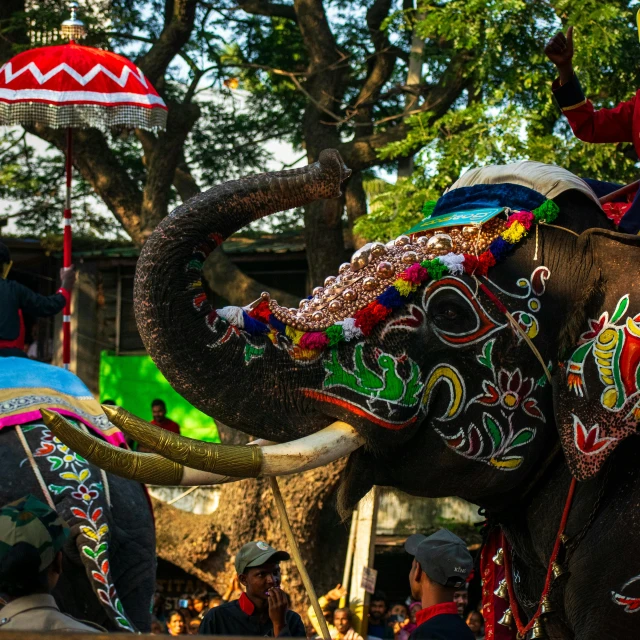 a decorated elephant with its rider performing a show