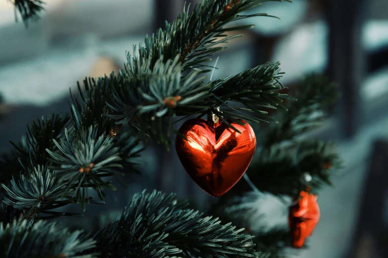 a tree nch with some ornaments on it