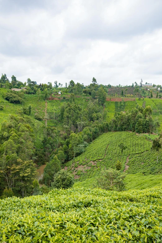 green hillside on hill with a small village in the distance