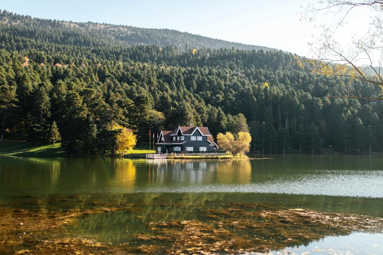 the house is located on the shore of the lake