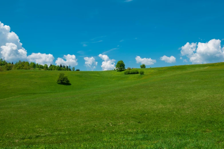 a horse is grazing in the grass of a mountain