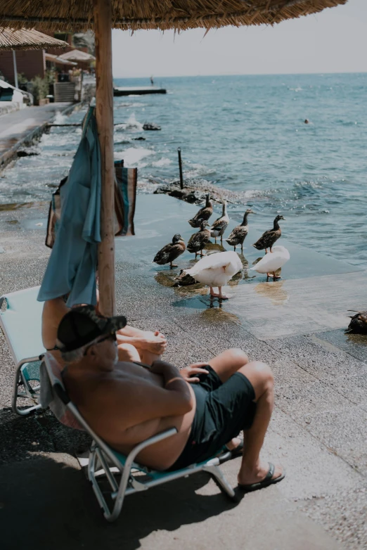 a man laying on a chair next to some birds