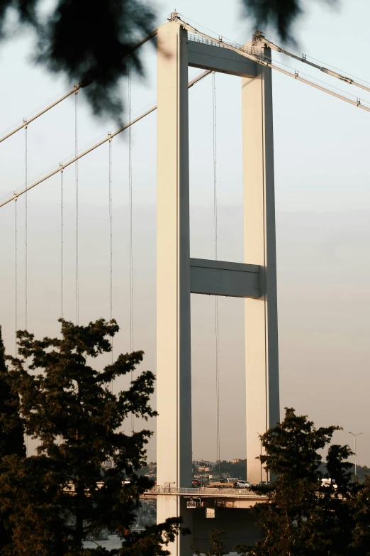 a view of a large suspension bridge from a distance