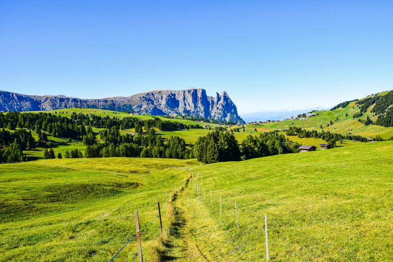 the landscape on the side of the road is lush green