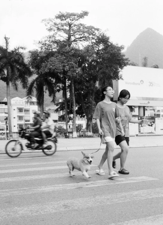 there is a man walking a dog and two other people