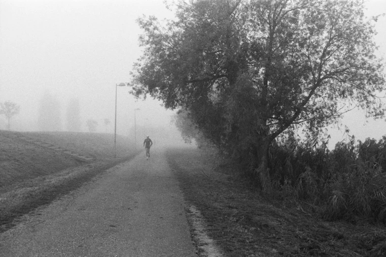 people walking down a foggy road next to some trees