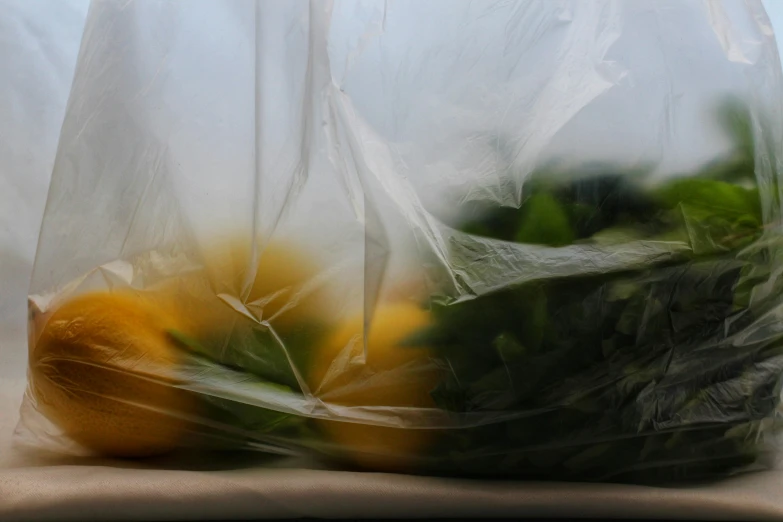 there are some vegetables in a plastic bag