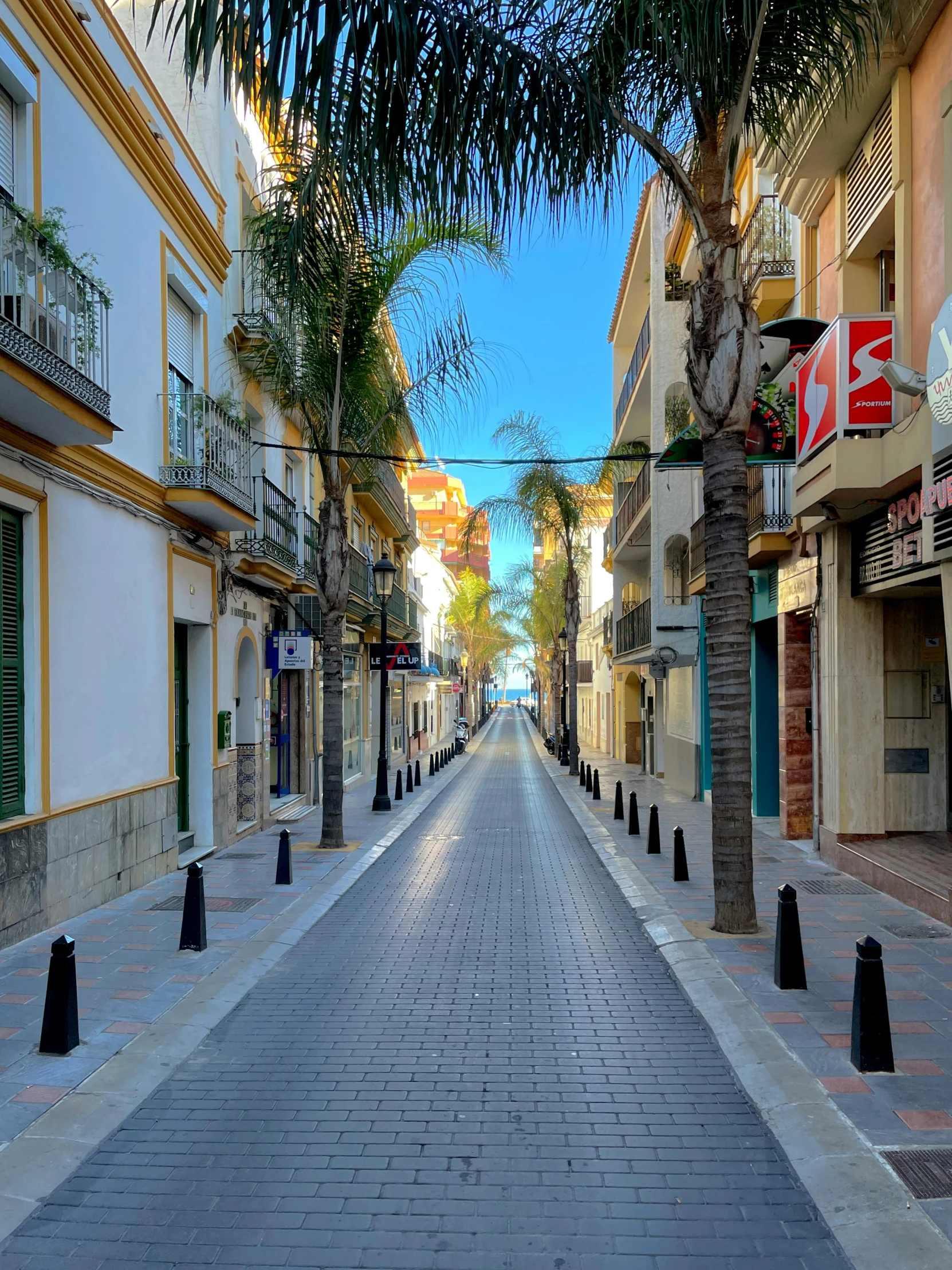 a quiet deserted street lined with buildings and palm trees