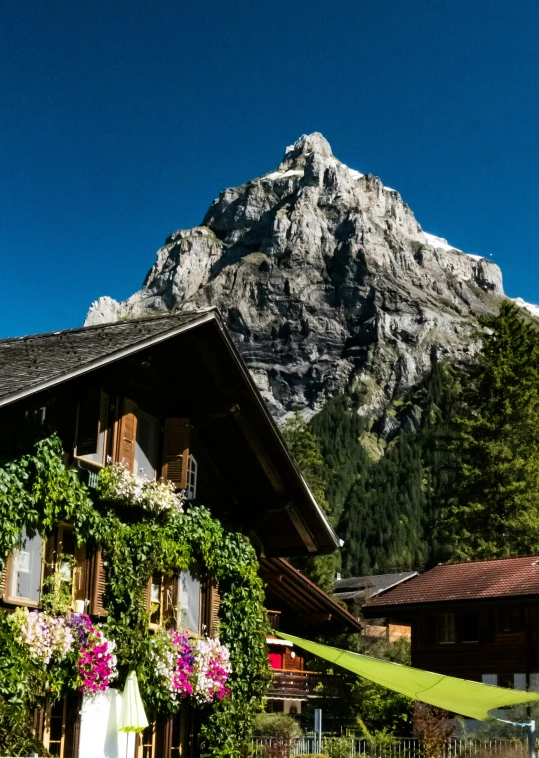 a house with vines covered on the side and mountains in the background