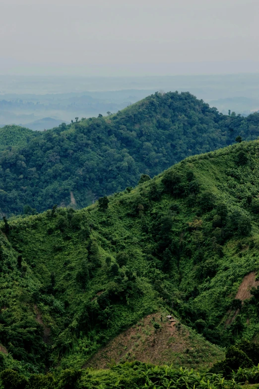 a small boat sitting on top of a lush green hillside