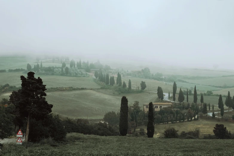 a large field with many trees and a few houses