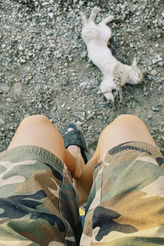 a cat laying on the ground with his legs hanging out