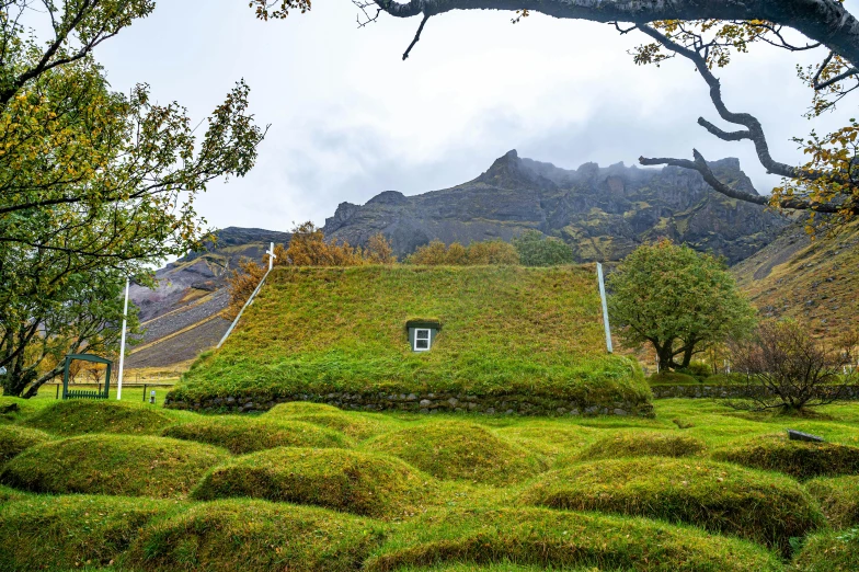 the house in the hill is surrounded by lush green plants