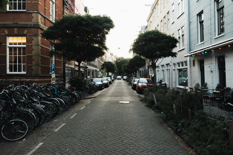 there are a lot of bicycles that are parked on the street