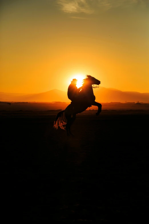 the cowboy jumps his horse in front of the sunset