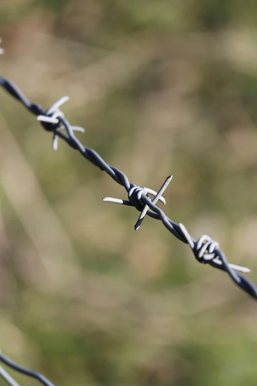 a closeup of a barbed wire with some blurred background