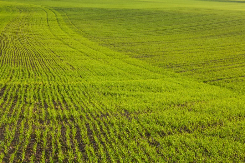 an aerial view of a green field in the middle of nowhere