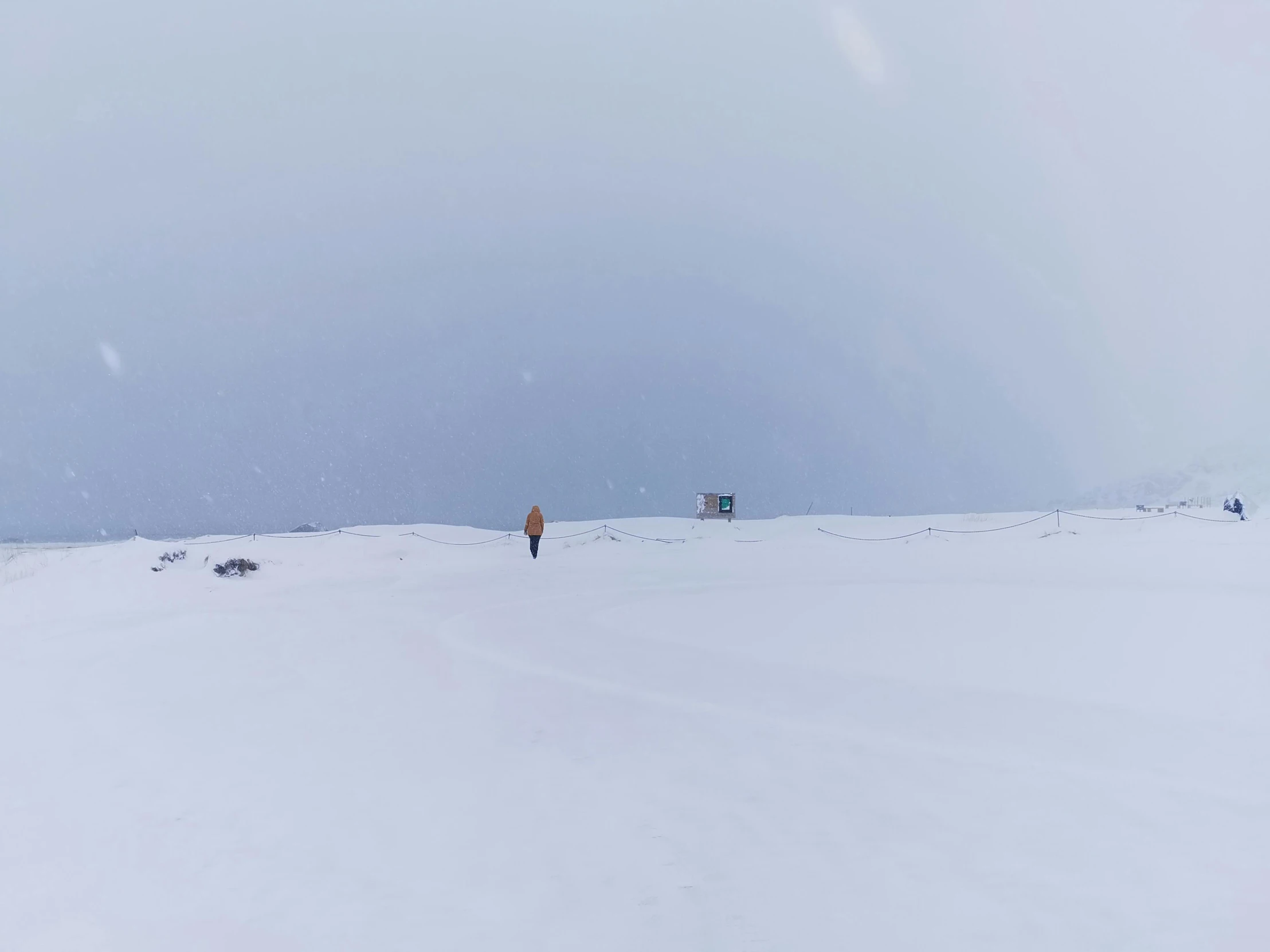 a group of people on skis stand in the snow