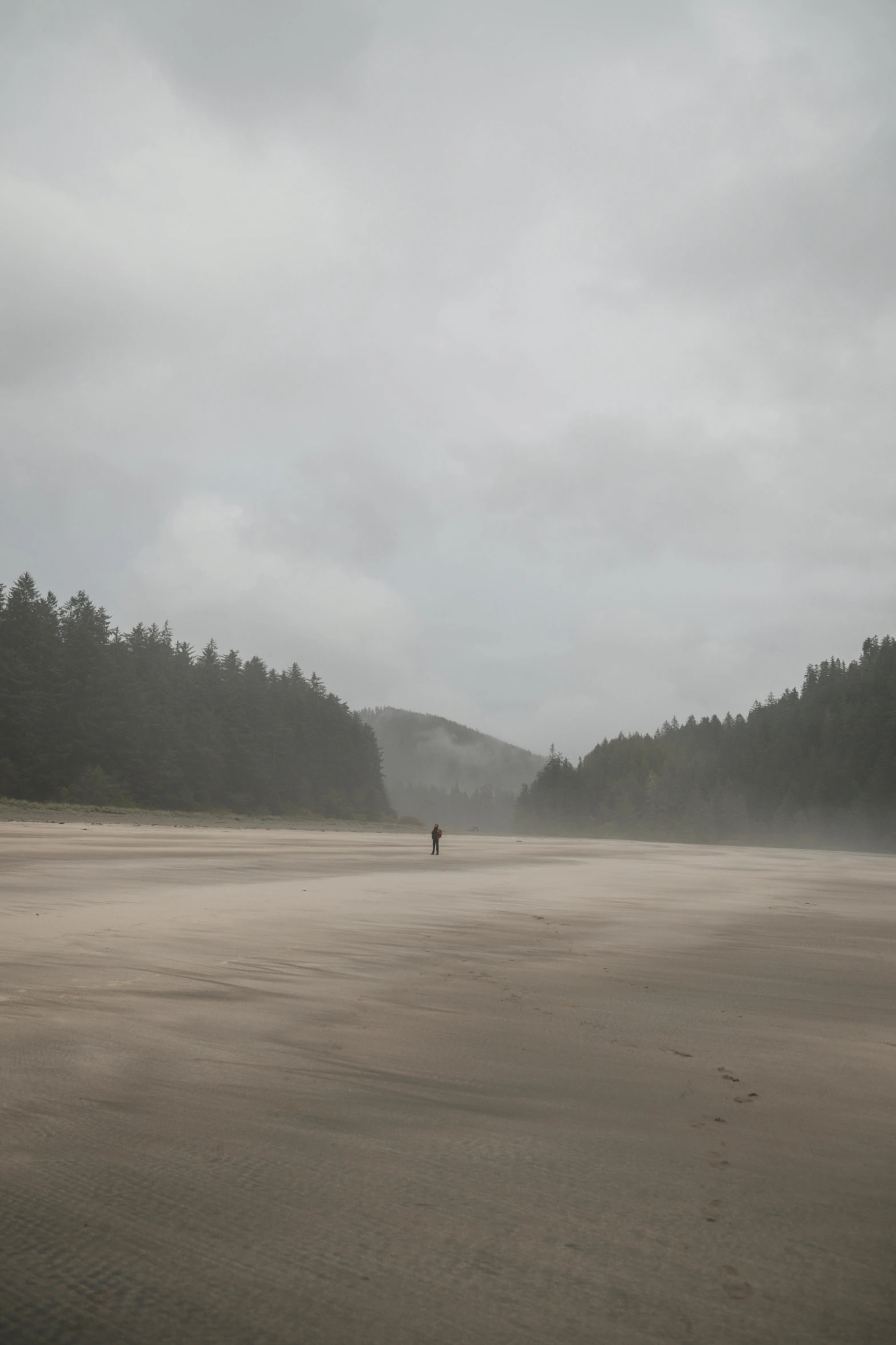 person standing alone in the middle of a field on a foggy day