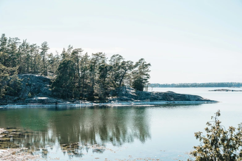 trees line the shoreline of an area with water