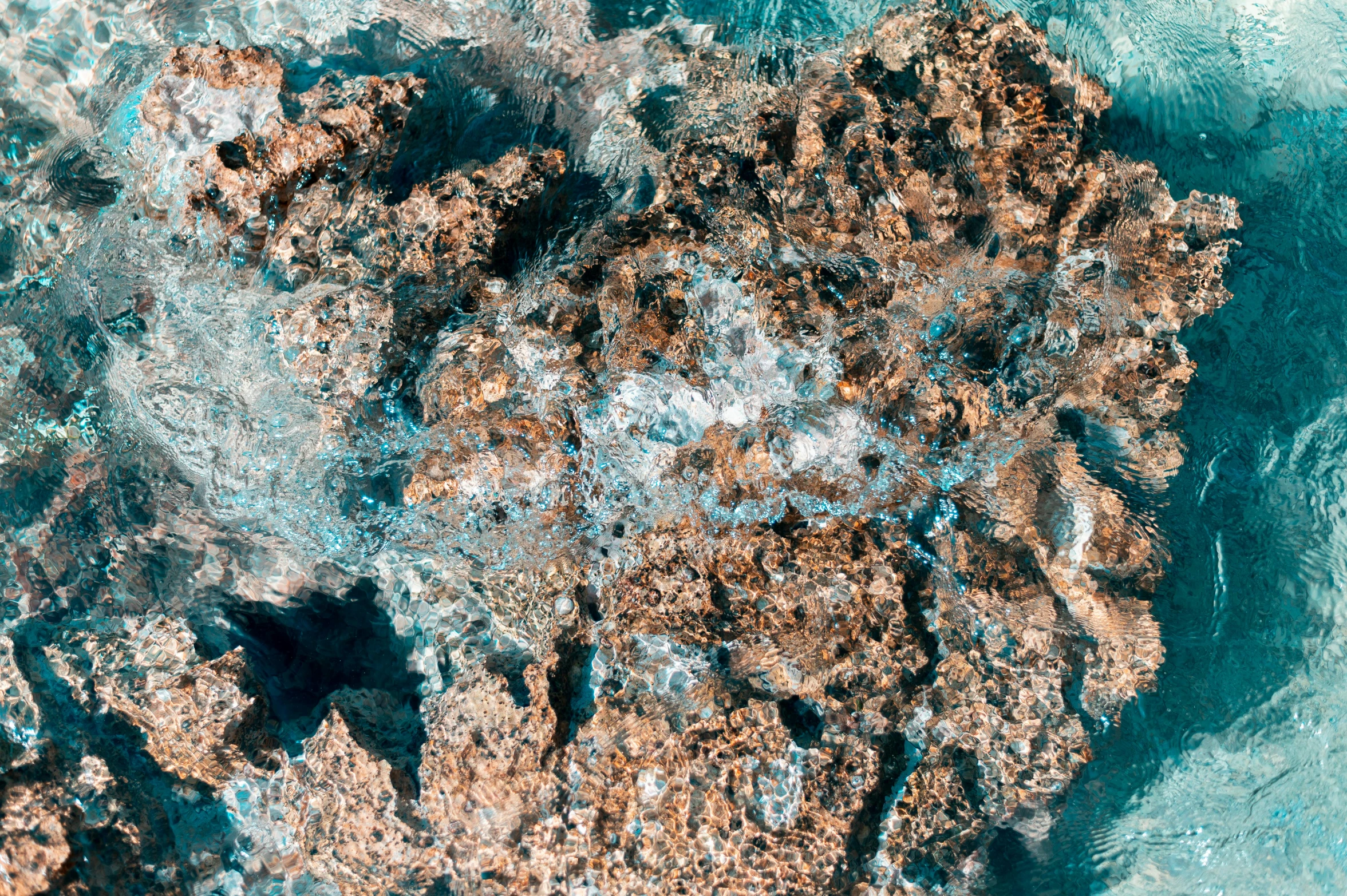 an aerial view of a reef with rocks and algae