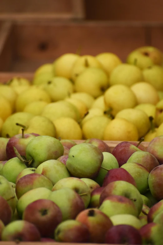 a lot of yellow and green apples in some brown boxes